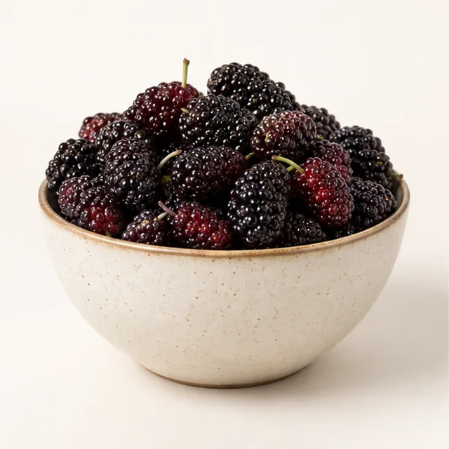 Harbor Mulberry — product overview