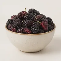 Harbor Mulberry