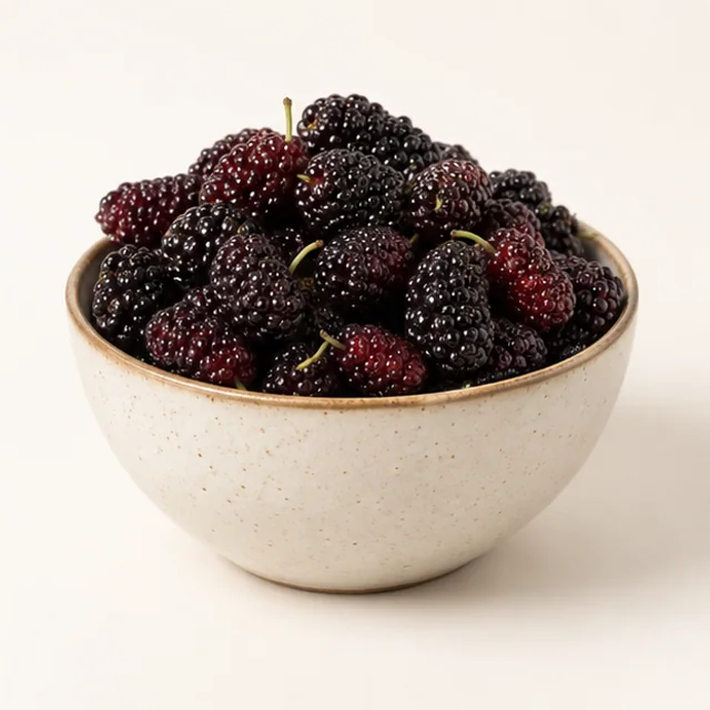 Harbor Mulberry — detail view