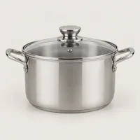 Hearth Silver Pot With Glass Cap