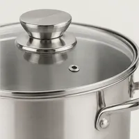 Hearth Silver Pot With Glass Cap