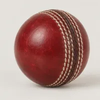 Willow Cricket Ball