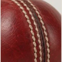 Willow Cricket Ball