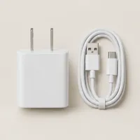 Swift 30W Phone Charger