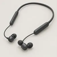 Flex Neckband Earphones