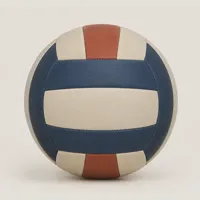 Cedar Volleyball