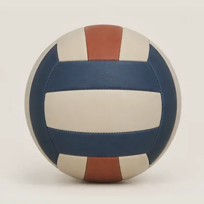 Cedar Volleyball — view 1