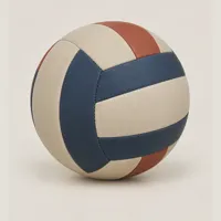 Cedar Volleyball