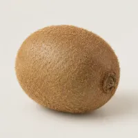 Field Kiwi