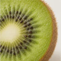 Field Kiwi