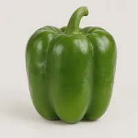 Harbor Green Bell Pepper