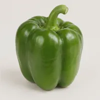 Harbor Green Bell Pepper