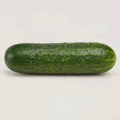 Willow Cucumber — view 1