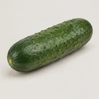 Willow Cucumber