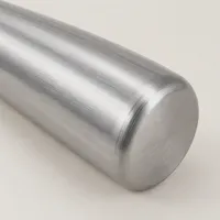 Willow Metal Baseball Bat