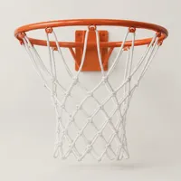 Solstice Basketball Rim