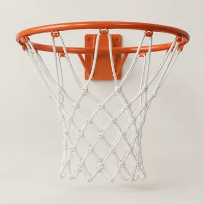 Solstice Basketball Rim — view 1