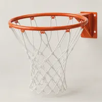 Solstice Basketball Rim